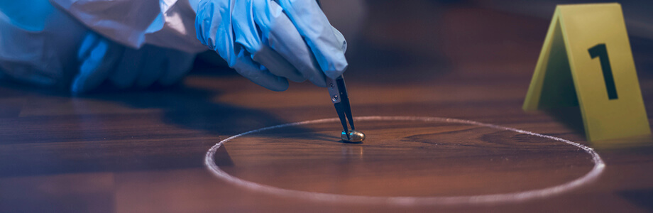 Forensic Case Management
